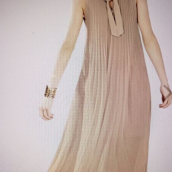 Meghen Hater-Neck Pleated Gown - Picture 6 of 6